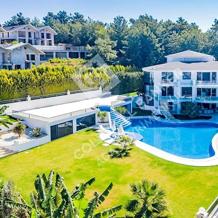 Vila Yalcin *